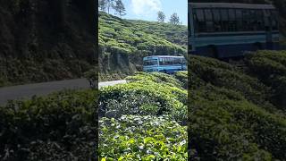 Valparai tourist places thalanar [upl. by Eivla]