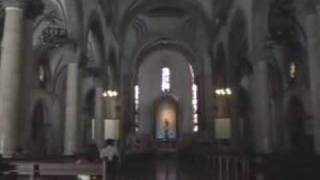 Manila Cathedral pipe organ [upl. by Leur]