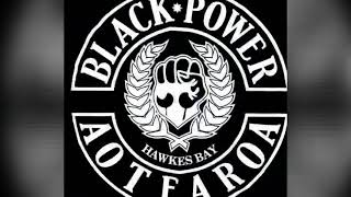 BLACKPOWER NIGGAZ [upl. by Anaiuq]