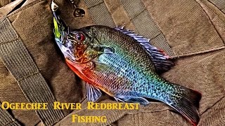 Redbreast Fishing On The Ogeechee River  Bulloch County [upl. by Spense]