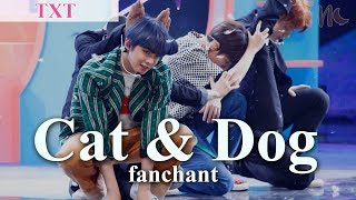 RomEng TXT  Cat amp Dog Lyrics  FANCHANT [upl. by Lienahs139]