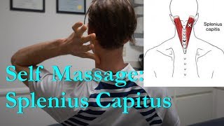 Self Massage Splenius Capitus back of neck [upl. by Leif]