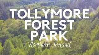 Tollymore Forest Park in 4K  Newcastle Northern Ireland [upl. by Batruk345]