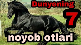 DUNYODAGI ENG NOYOB OTLAR OTLARNING BU ZOTLARI BIR BIRIDAN AJOYIB [upl. by Esten]