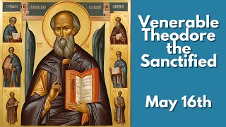 Venerable Theodore the Sanctified  May 16th [upl. by Ahsinyd]