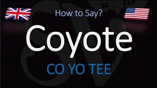 How to Pronounce Coyote  English American Pronunciation [upl. by Fernand662]