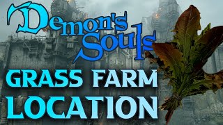 Demons Souls Farming Healing Items GRASS [upl. by Capello]