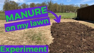 MANURE on lawn  spring experiment 2019 [upl. by Nnaxor946]