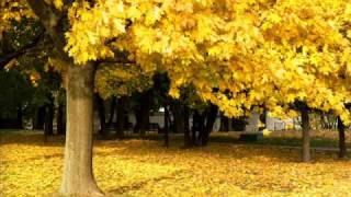 Mr Acker Bilk  Autumn Leaves [upl. by Caty]