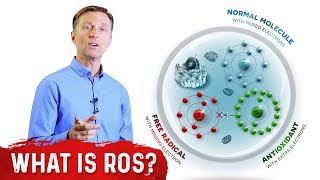 What Are Reactive Oxygen Species ROS  Dr Berg [upl. by Aikenat152]