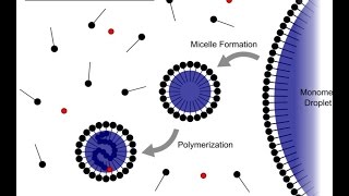 Emulsion Polymerization [upl. by Suter262]