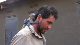 Baby Vervet Monkey Rescued from African Brush Fire [upl. by Noiroc]