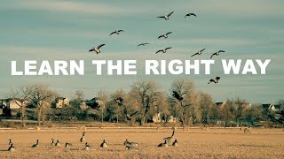 BEST goose calling tips for beginners [upl. by Parette]