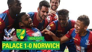 Crystal Palace 10 Norwich City  201516 [upl. by Jennee127]