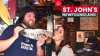 Newfoundland Travel Guide Best Things to Do in ST JOHNS [upl. by Takken]