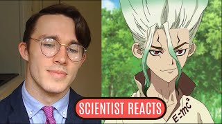 Scientist REACTS to Dr Stone [upl. by Ulah]