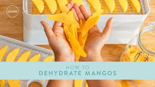 How to Dehydrate Mango  Luvele Breeze Dehydrator [upl. by Elrae]