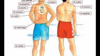 Dolor de cabeza  Learn Spanish body parts [upl. by Morlee]