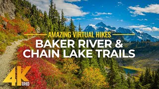 4K Virtual Hike Near River through the Forest  Baker River Trail amp Chain Lake Trail [upl. by Gove203]