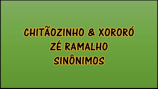 Chitãozinho amp Xororó Zé Ramalho  Sinônimos Lyrics  Letra en Portugués  Traducida al Español [upl. by Raymond]