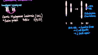 Chromosomal Translocations [upl. by Blau]