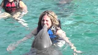 Blue Lagoon Bahamas Dolphin Swim June 2015 [upl. by Sidonnie559]