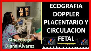 ECOGRAFIA DOPPLER PLACENTARIO Y FETAL POR GINECOLOGA DIANA ALVAREZ [upl. by Ayotac]