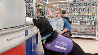 Assistance Dog Transforms Disabled Owners Life [upl. by Reed844]