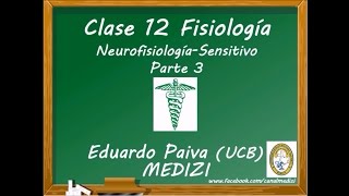 Clase 12 Fisiología  Neurofisiología Sensitivo 3 IGdoctorpaiva [upl. by Gwenette770]