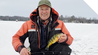 Ice fishing for perch on Cooks Bay Lake Simcoe [upl. by Nosliw]