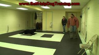 How to Train a Dog to Attack on Command k91com [upl. by Iralav]