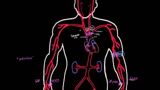 Takayasu Arteritis [upl. by Roy]