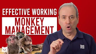 What is Monkey Management How to Deal with a Monkey on Your Back [upl. by Assilanna]