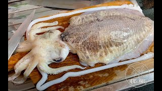 CUTTLEFISH How to clean amp process  quick amp easy cuttlefish recipe [upl. by Notreb961]