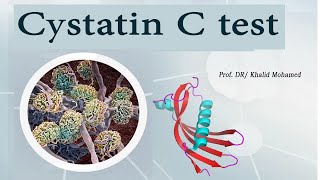 Cystatin C Test amp Its Clinical Value [upl. by Isle270]