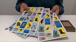 How to Play Loteria [upl. by Eniak798]