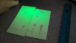 TLC in Organic LabPractical demonstration [upl. by Haissem]