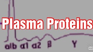 Plasma Proteins Biochemistry Albumin Globulins  Fibrinogen [upl. by Mcginnis126]