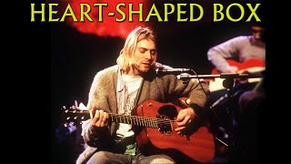 Nirvana  HeartShaped Box MTV Unplugged [upl. by Neelhtac]