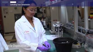 How to Control Contamination in PCR lab [upl. by Valida]