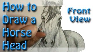 How to draw a Horse Head Front View [upl. by Claudine]