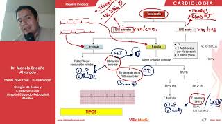 CARDIO  Arritmias Cardíacas  ENAM 2020 [upl. by Auqenes162]