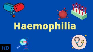 Haemophilia Causes SIgns and Symptoms Diagnosis and Treatment [upl. by Profant65]