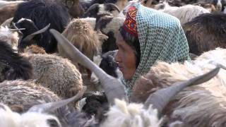 Shimshal Valley [upl. by Norit884]