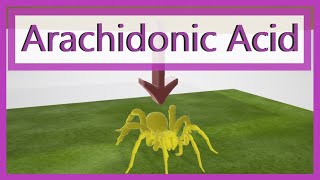 Arachidonic Acid Pathway Mnemonic [upl. by Medrek489]