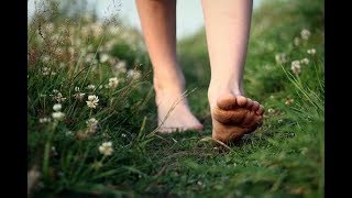 Documental sobre el Earthing quotThe Groundedquot Subtítulos en Español [upl. by Earehs]