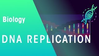 DNA Replication  Genetics  Biology  FuseSchool [upl. by Devaj]