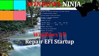 Windows 10  Repair EFI Partition [upl. by Fonsie986]