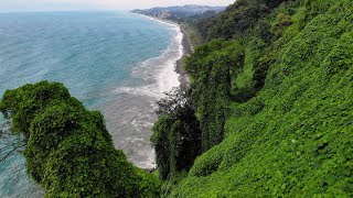 The Batumi Botanical Garden [upl. by Aletse]