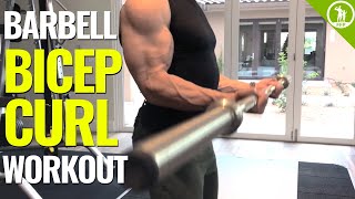 Barbell Bicep Curl Workout GET BIGGER ARMS [upl. by Ettenig]